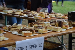 parkfest_2019_075